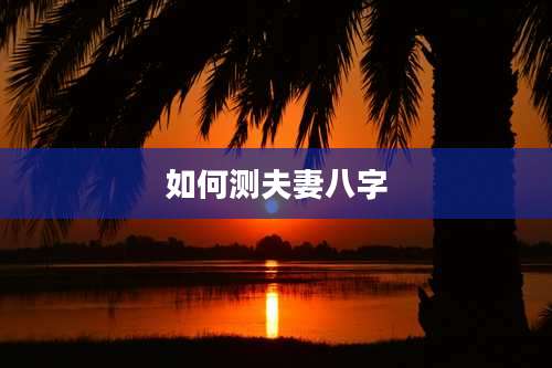 如何测夫妻八字