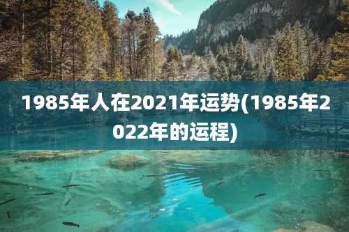 1985年人在2021年运势(1985年2022年的运程)