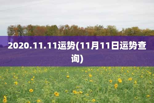2020.11.11运势(11月11日运势查询)