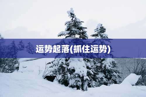 运势起落(抓住运势)