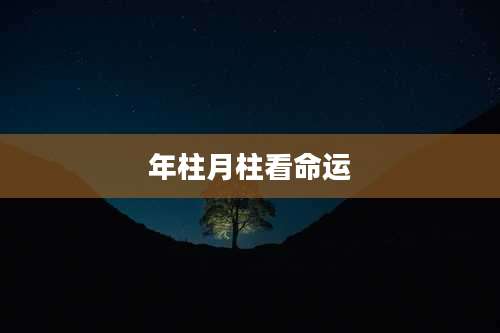 年柱月柱看命运
