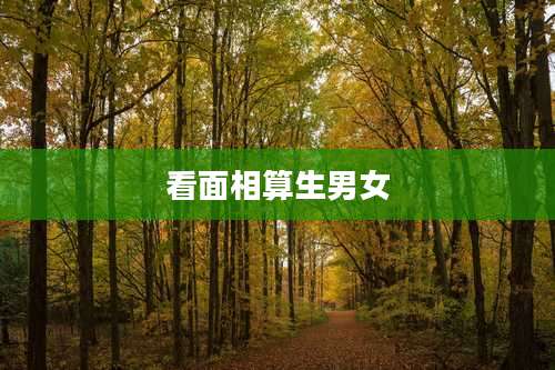 看面相算生男女