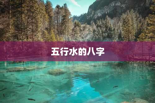 五行水的八字