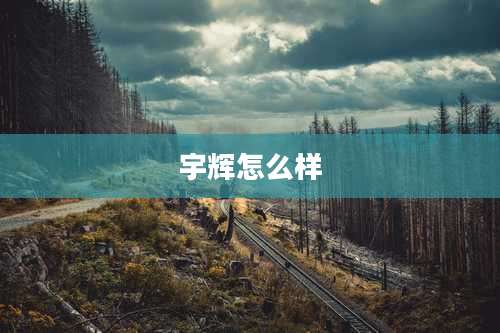 宇辉怎么样