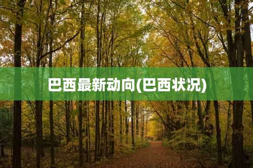 巴西最新动向(巴西状况)