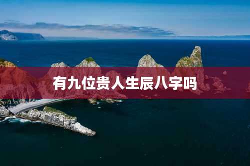 有九位贵人生辰八字吗