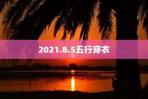 2021.8.5五行穿衣