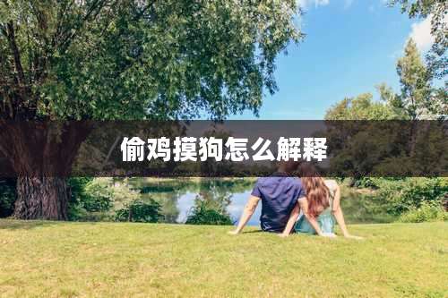 偷鸡摸狗怎么解释