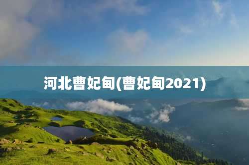 河北曹妃甸(曹妃甸2021)