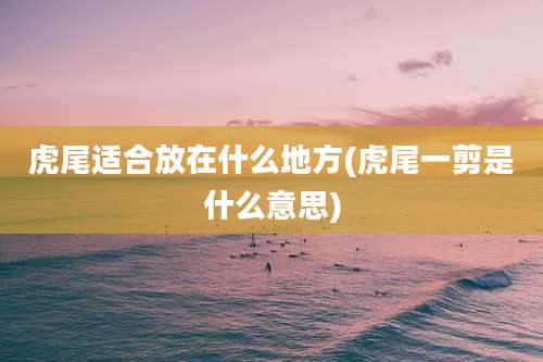 虎尾适合放在什么地方(虎尾一剪是什么意思)