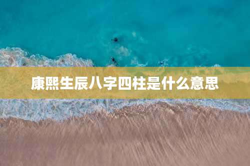 康熙生辰八字四柱是什么意思