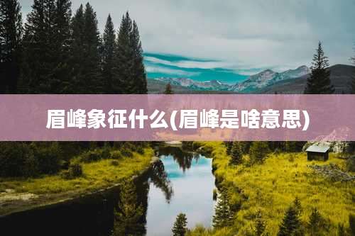 眉峰象征什么(眉峰是啥意思)