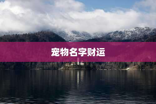 宠物名字财运