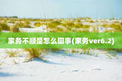 家务不顺是怎么回事(家务ver6.2)