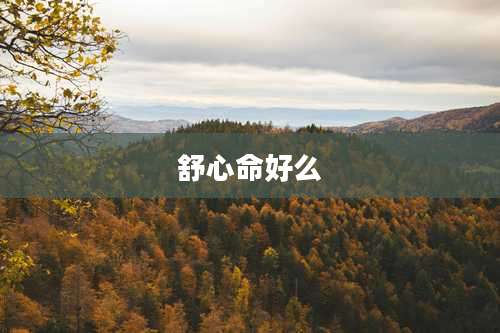 舒心命好么
