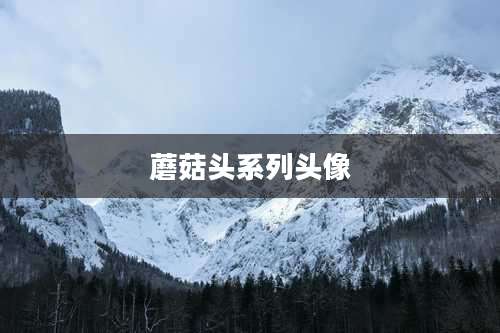 蘑菇头系列头像