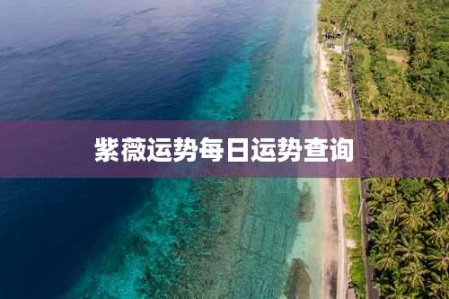 紫薇运势每日运势查询