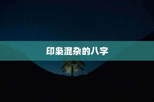 印枭混杂的八字