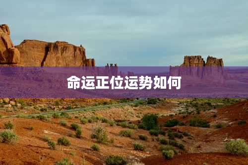 命运正位运势如何