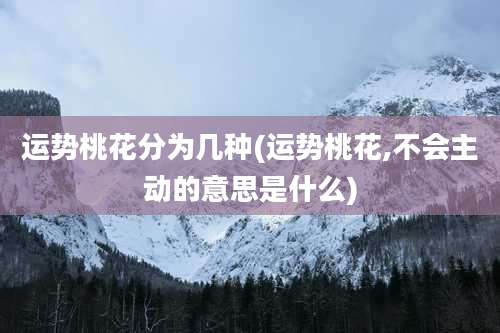 运势桃花分为几种(运势桃花,不会主动的意思是什么)
