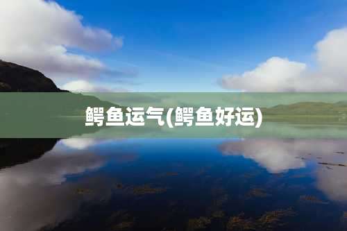鳄鱼运气(鳄鱼好运)