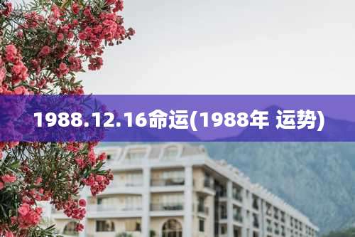 1988.12.16命运(1988年 运势)
