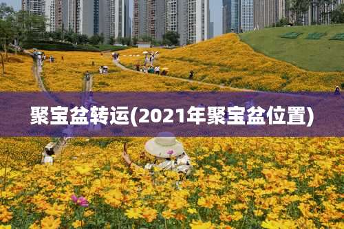 聚宝盆转运(2021年聚宝盆位置)