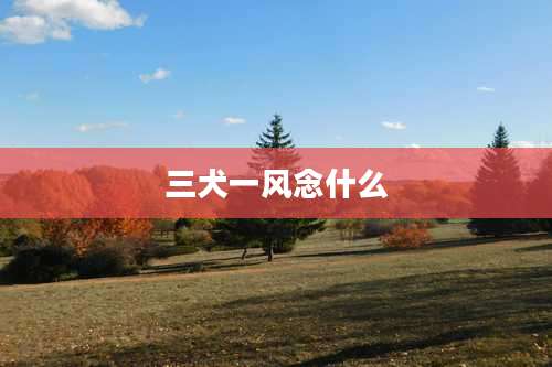 三犬一风念什么