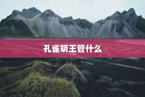 孔雀明王管什么