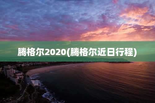 腾格尔2020(腾格尔近日行程)
