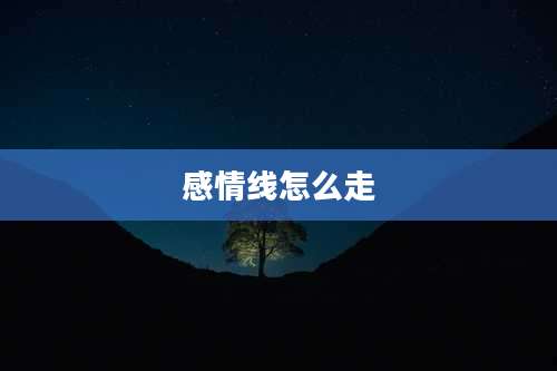 感情线怎么走