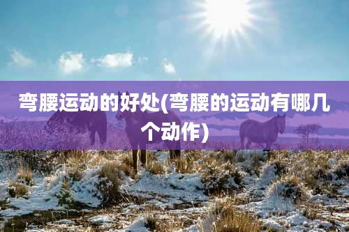 弯腰运动的好处(弯腰的运动有哪几个动作)