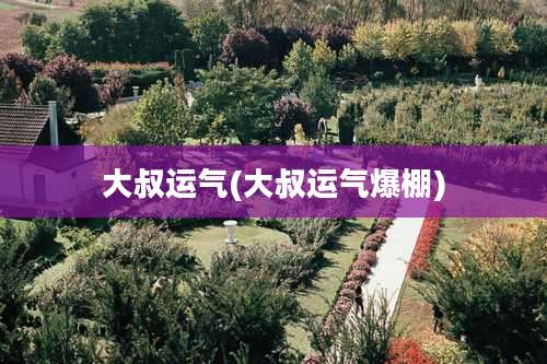 大叔运气(大叔运气爆棚)