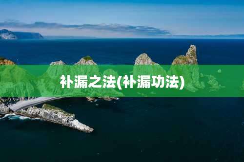 补漏之法(补漏功法)