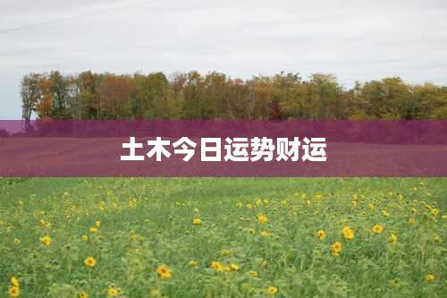 土木今日运势财运