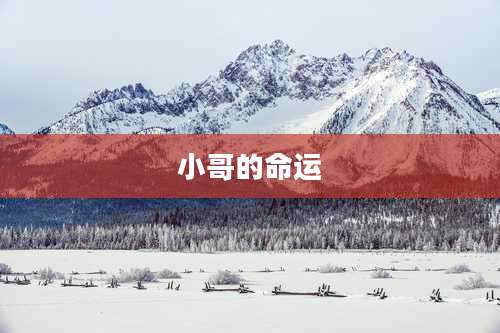 小哥的命运