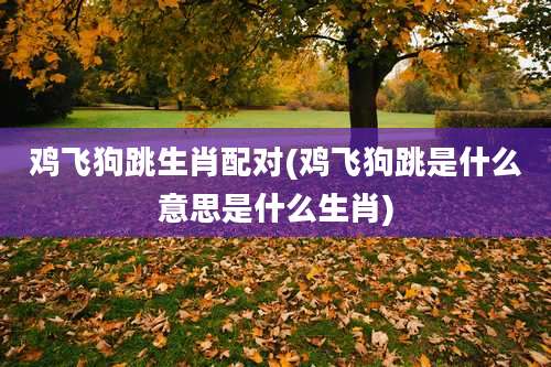 鸡飞狗跳生肖配对(鸡飞狗跳是什么意思是什么生肖)