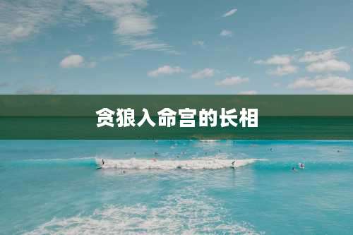 贪狼入命宫的长相