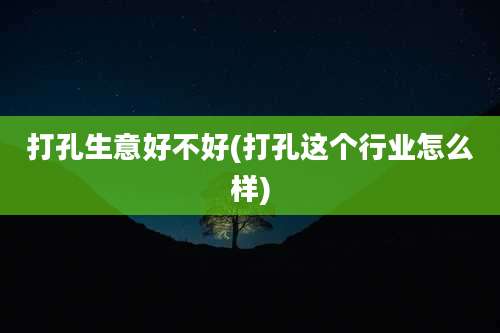 打孔生意好不好(打孔这个行业怎么样)