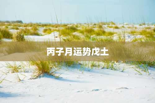 丙子月运势戊土