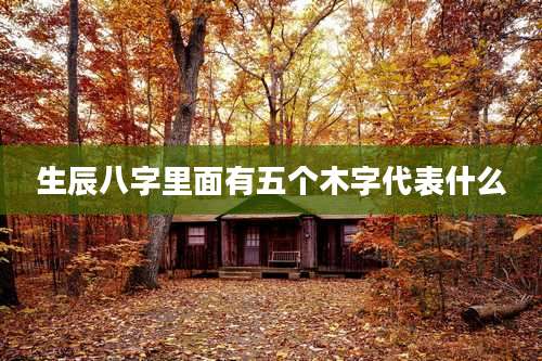 生辰八字里面有五个木字代表什么