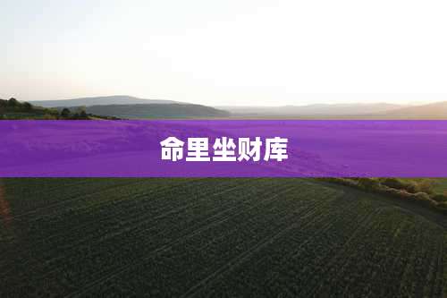 命里坐财库