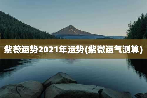 紫薇运势2021年运势(紫微运气测算)