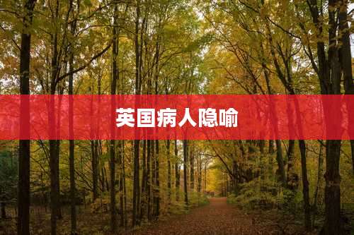 英国病人隐喻