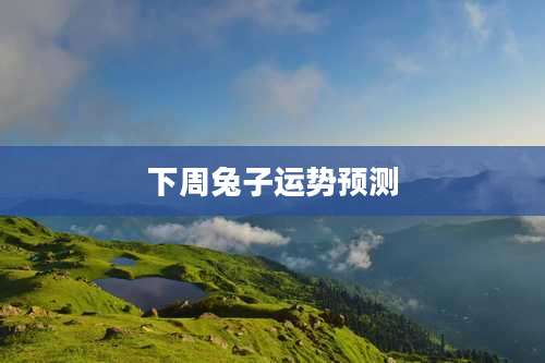 下周兔子运势预测