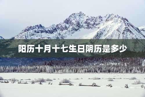 阳历十月十七生日阴历是多少