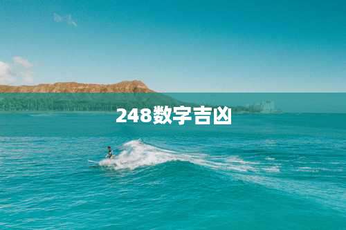 248数字吉凶