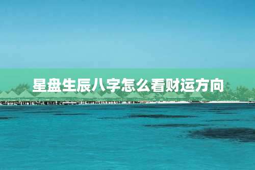 星盘生辰八字怎么看财运方向