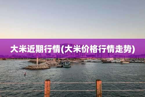 大米近期行情(大米价格行情走势)