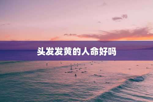 头发发黄的人命好吗